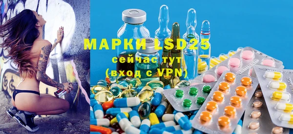 ГАЛЛЮЦИНОГЕННЫЕ ГРИБЫ Кулебаки