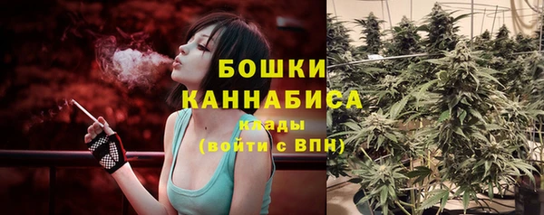 индика Красноперекопск