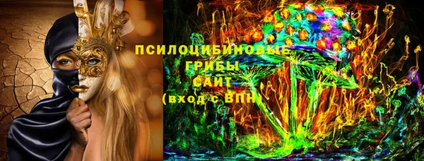 индика Красноперекопск