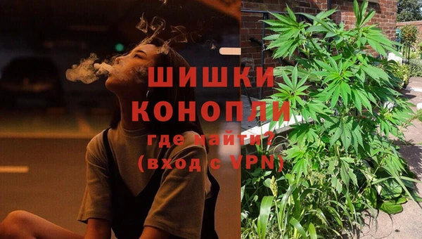 индика Красноперекопск