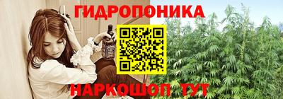 гашик Дубна