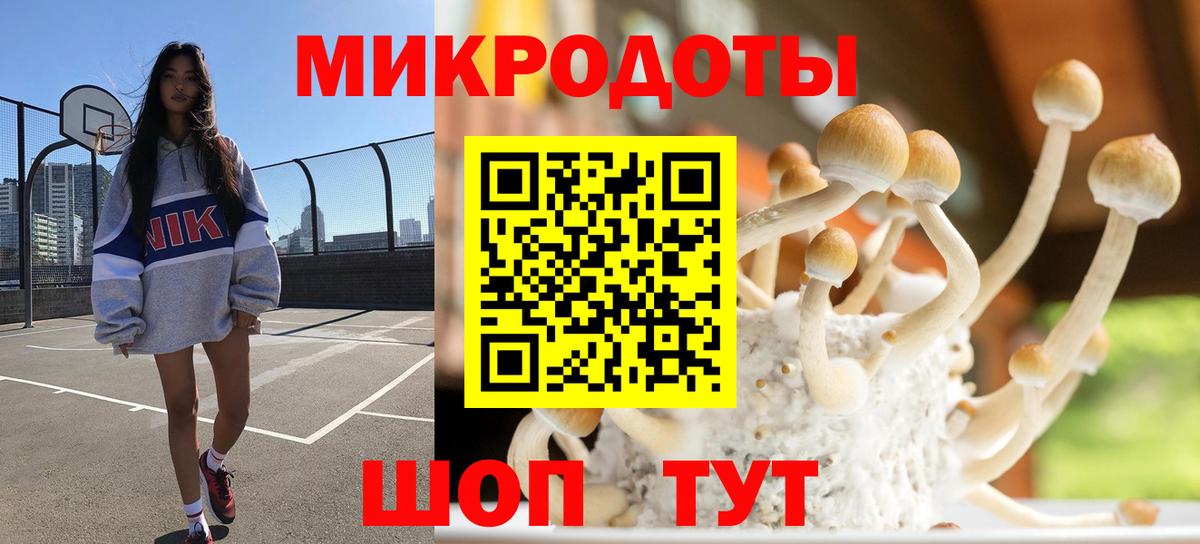 Галлюциногенные грибы Psilocybe  Псилоцибиновые грибы Magic Shrooms  Магнитогорск  Вход с VPN 